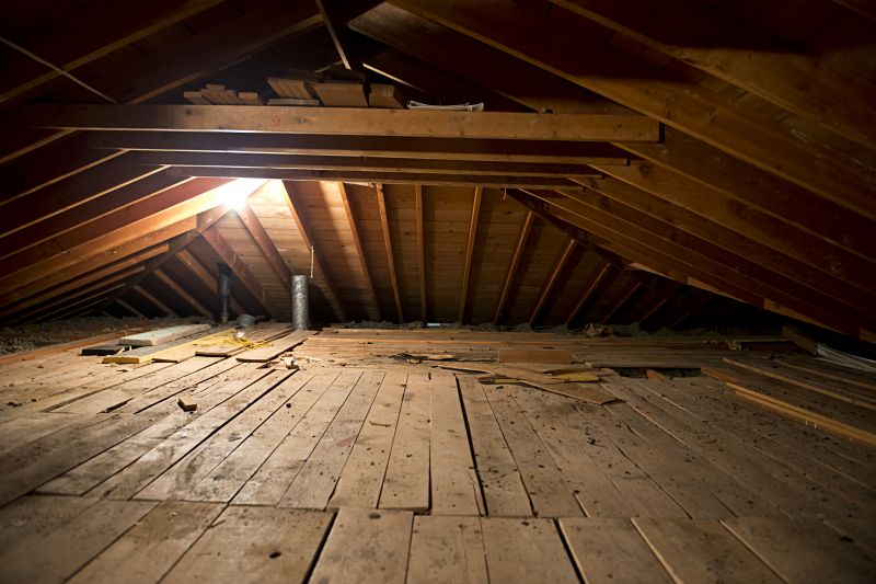 Prevent mold and pests with professional cleaning