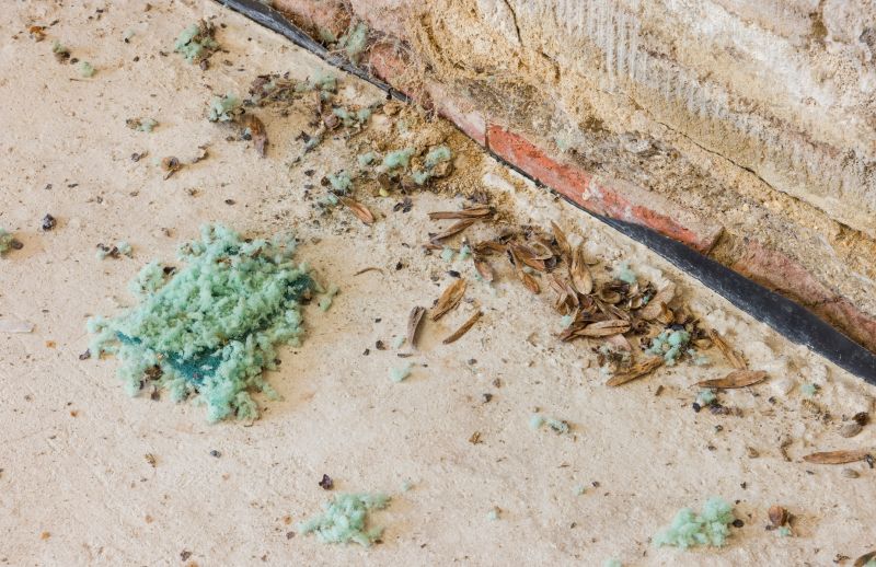 Enhance safety by removing debris and hazards